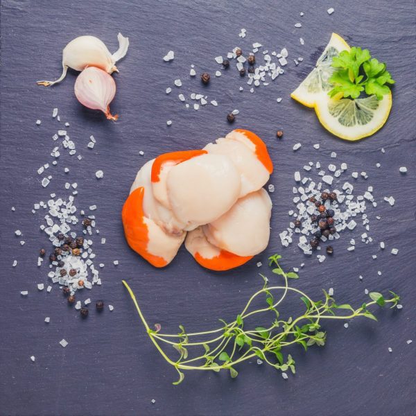 King Scallops From Scotland Fresh Fish Delivery Online