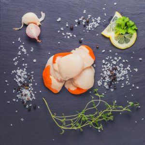 Scallops on a slate background