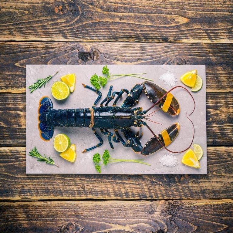 Whole lobster on a stone background