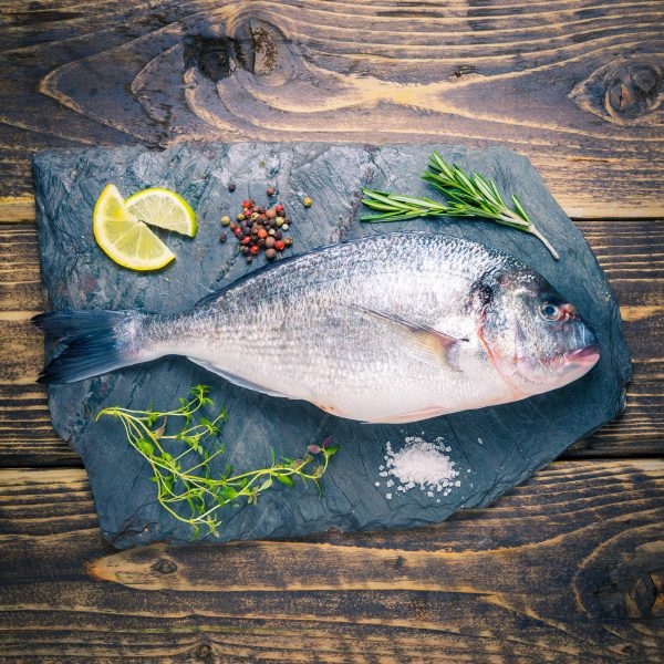 Everything You Need to Know About … Sea Bream Fresh Fish Daily