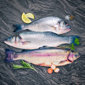 Sea bream, sea bass and rainbow trout
